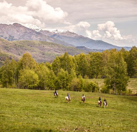 Actividad rutas a caballo. Casas rurales en Yeste - Casas Rural Amables